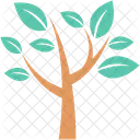 Forest Plant Tree Icon
