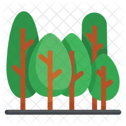 Forest  Icon