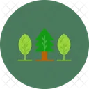 Forest Nature Tree Icon