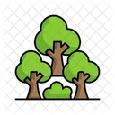 Forest  Icon