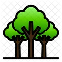 Rain Forest Tropical Nature Icon