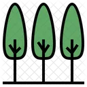 Forest Tree Ecology Icon