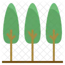 Forest Tree Ecology Icon