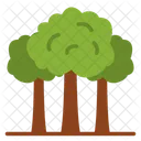 Forest Trees Nature Icon