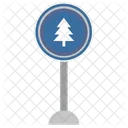 Forest Fir Tree Icon