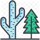 Cactus Fir Tree Icon