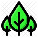 Forest Ecology Tree Icon