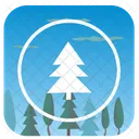 Tree Fir Nature Icon