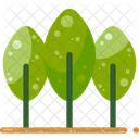 Nature Forest Tree Icon