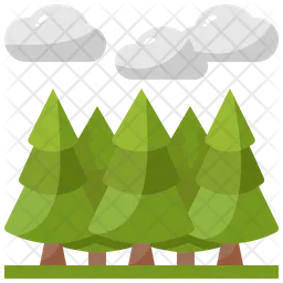 Forest  Icon