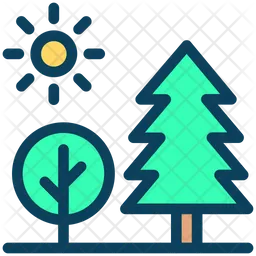 Forest  Icon