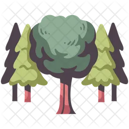 Forest  Icon