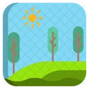 Forest Sun Plant Icon