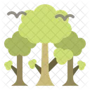 Forest  Icon