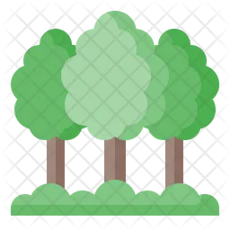 Forest  Icon