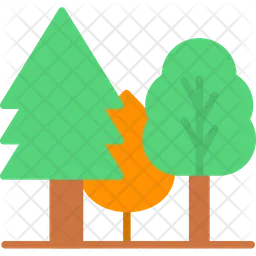 Forest  Icon