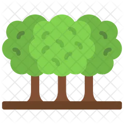 Forest  Icon