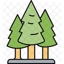 Forest  Icon