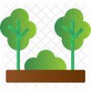 Forest Natural Nature Icon