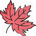 Forest Maple Leaf Nature Icon
