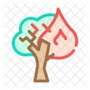Forest Fires Color Icon