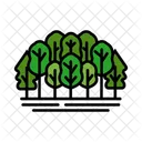 Forest Canopy  Icon