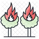 Forest Fire  Icon