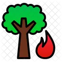 Forest Fire Tree Nature Icon