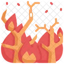 Fire Natural Disaster Disaster Icon