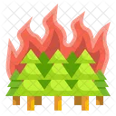 Forest Fire Burning Tree Icon