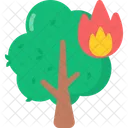 Forest Fire Icon