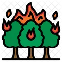 Forest Fire  Icon