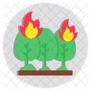 Forest Fire Tree Burning Forest Burning Icon