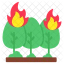 Forest Fire Tree Burning Forest Burning Icon