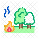 Forest Fire  Icon
