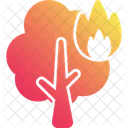 Forest Fire Icon