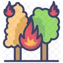 Forest Fire  Icon