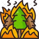 Forest Fire  Icône