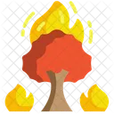 Forest Fire Burning Tree Fire Icône
