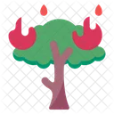 Forest Fires Flame Fire Icon