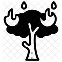 Forest Fires  Icon