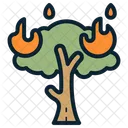 Forest Fires  Icon