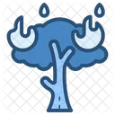 Forest Fires Flame Fire Icon