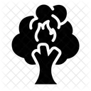 Forest Fires Wildfire Flame Icon