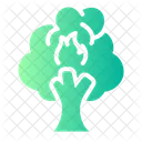 Forest Fires Wildfire Flame Icon