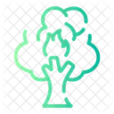 Forest Fires Wildfire Flame Icon