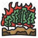 Forest Fires Fire Forest Icon