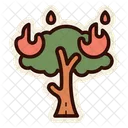 Forest Fires  Icon