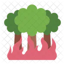 Forest Firre Disaster Catastrophe Icon