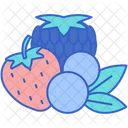 Forest Fruits Fruits Forest Icon